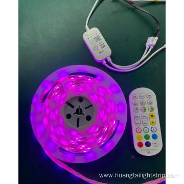 Rgb 24v Waterproof LED LED SMD Strip Light